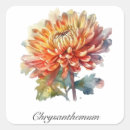 Search for chrysanthemum stickers Garden