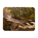 Search for appalachian magnets Fall