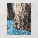 Search for tree trunk postcards Photography
