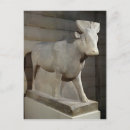 Search for bull postcards Ancient