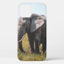 Search for elephants iphone cases Landscape