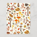 Search for wild mushrooms postcards Woodland