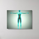 Search for female body canvas prints Medical