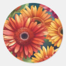 Search for gerbera daisy stickers Botanical