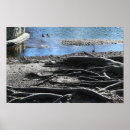 Search for tree roots posters Nature