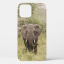 Search for elephant cases Landscape