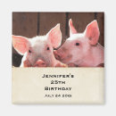 Search for piglets magnets Pink