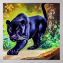 Search for black panther animal posters Wild cat