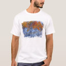 Search for aspen clothing Scenic