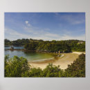 Search for stewart art Halfmoon bay