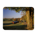 Search for woodstock magnets Nature