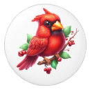 Search for redbird Cute