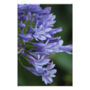 Search for delight art Purple