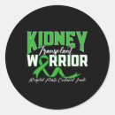 Search for renal stickers Kidney