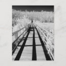 Search for corkscrew postcards Black