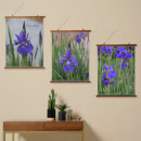 Search for lis photography Fleur de lis