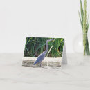 Search for symbol note cards Bird