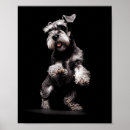 Search for miniature schnauzer art Haunted night