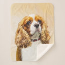 Search for cavalier king charles spaniel blankets Blenheim
