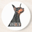 Search for dobe Dog