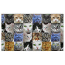 Search for cat face fabric Kittens