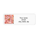 Search for dahlia return address labels Flower