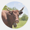 Search for cow horns stickers Farm