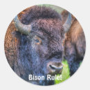 Search for buffalos stickers Buffaloes