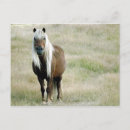 Search for blondes postcards Summer