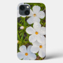 Search for rf cases Blooming
