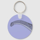 Search for brontosaurus key rings Apatosaurus