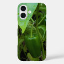 Search for producer cases Garden