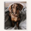 Search for dapple dachshund gifts Puppy