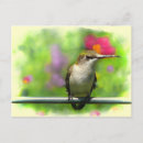 Search for tiny birds postcards Hummer