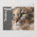 Search for spayed postcards Humane