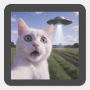 Search for alien humour stickers Funny cat