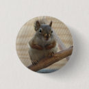 Search for cute squirrel badges Rodent
