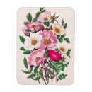 Search for wilde magnets Wild roses
