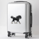 Search for stallion bumper stickers Black