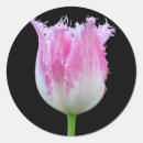 Search for botany round stickers Blossom