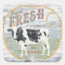 Search for cattle farm stickers Dairy
