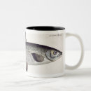 Search for plate mugs 1743 1805