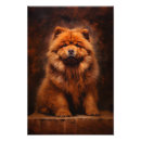 Search for chow China
