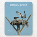 Search for bird flight electronics Osprey