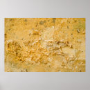 Search for ancients painting posters Colour