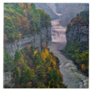 Search for state tiles Fall