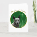 Search for australian cattle dog cards Acd