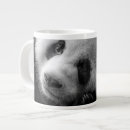 Search for panda cub mugs Animals in the wild