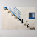 Search for lot posters Cat