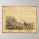 Search for compare posters Rivers